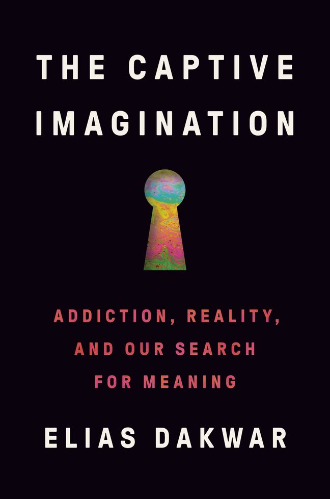 The Captive Imagination: Addiction, Reality, and Our Search fro Meaning;  Elias Dakwar