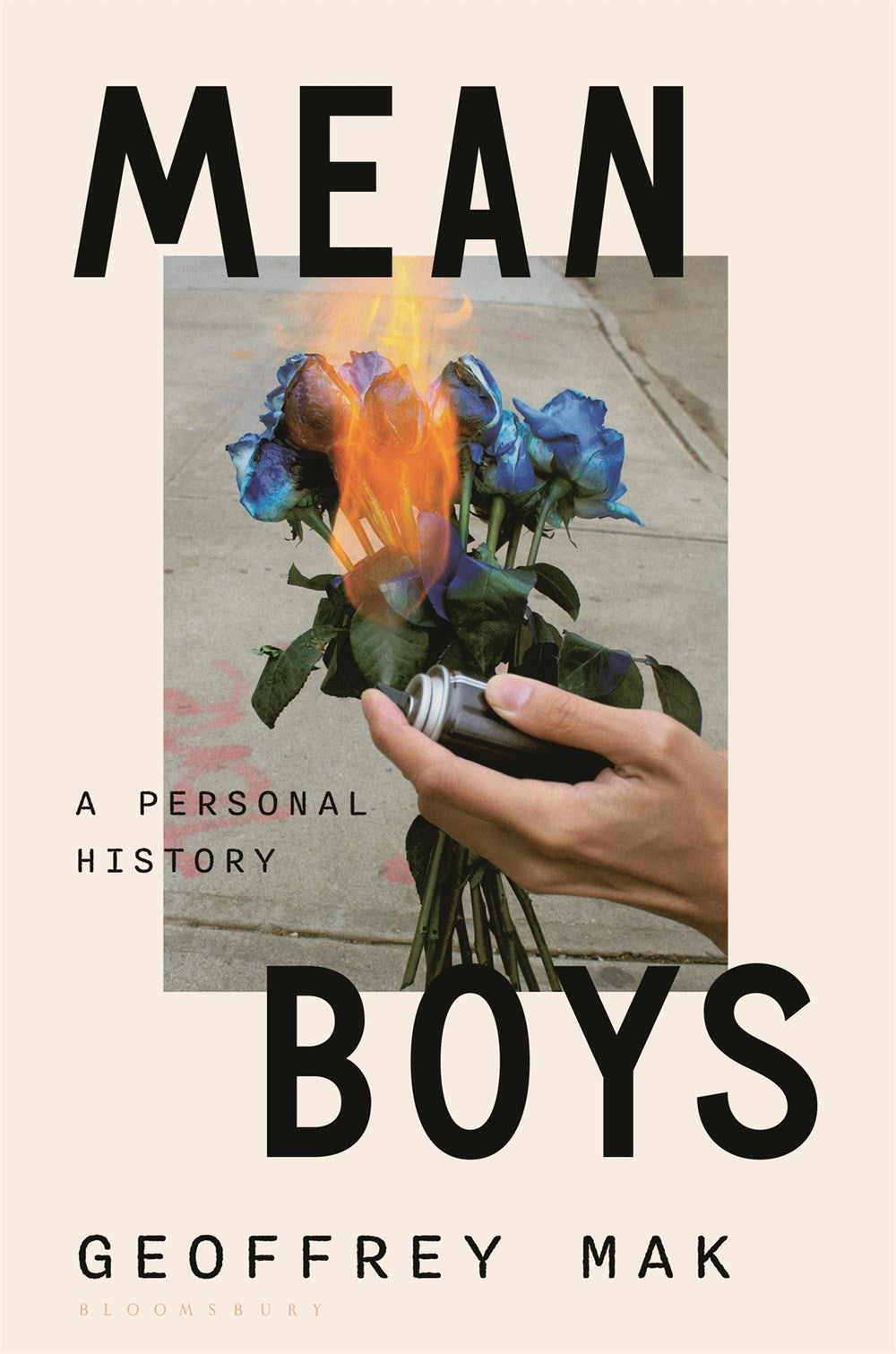 Mean Boys: A Personal History;  Geoffrey Mak