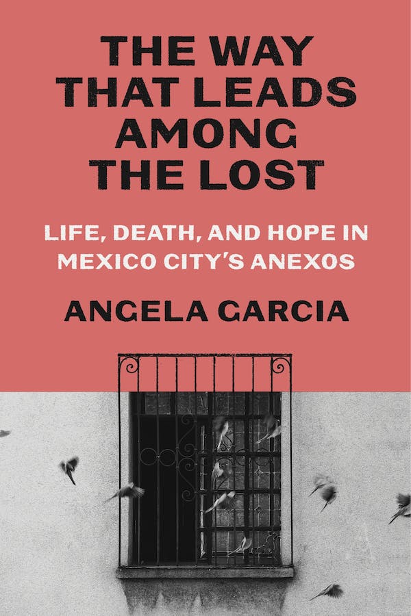 The Way That Leads Amongst the Lost: Life, Death, and Hope in Mexico City's Anexos;  Angela Garcia